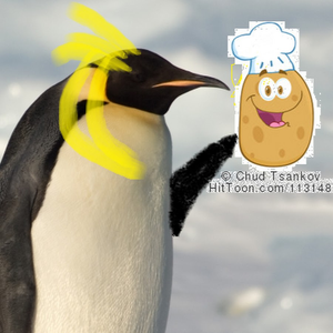 League of Penguins