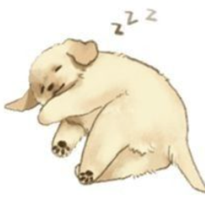 lost_puppy_
