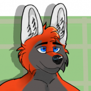 Maverick_The_Wolf