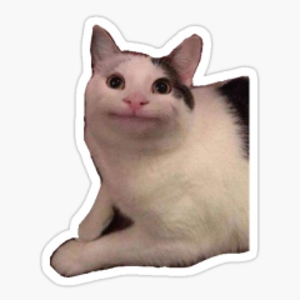 MeowModeVT
