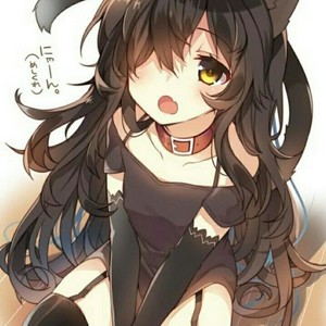 MewnaVT
