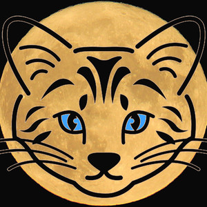 MidnightCat