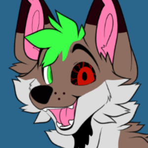 MikaTheShiba