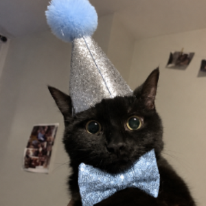 MinxoBun