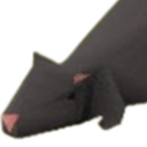 Mmarou_