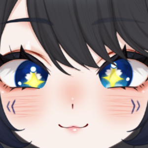 mokashark_vt