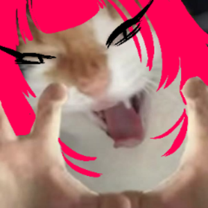 morklawwa