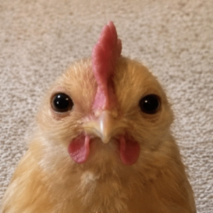 mumudoko