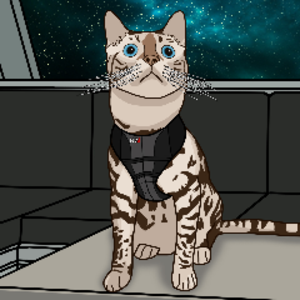 N7Lawson