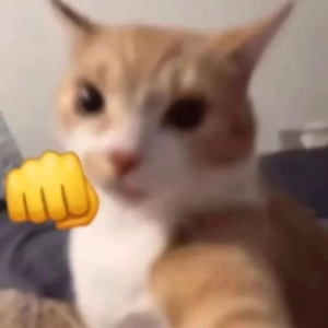 NekoTheCatx3