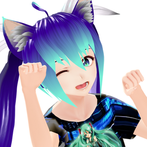 NightCat777