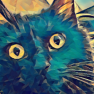 No_Marci