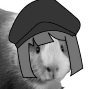 NoirVt