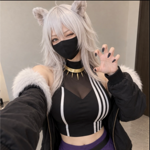 猫美はノラ猫