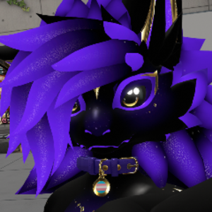 nyx_katt