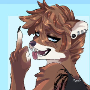 nyxtheferret