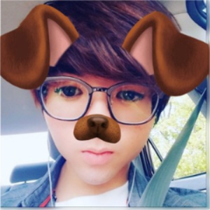 Panda_Sai
