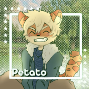 Petato2711