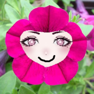 Petunya_VT