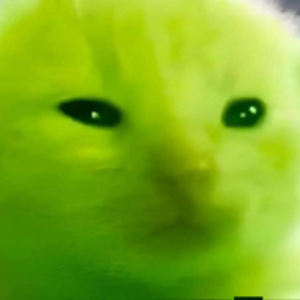 PhantomGD1