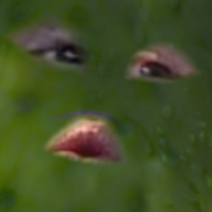 PickleBePoppin