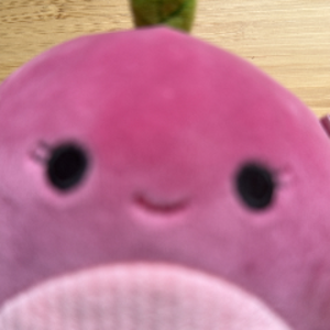 PiriJun