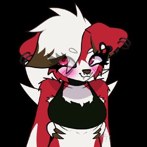 PlasmaRaccoon