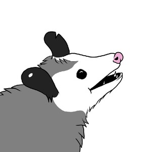 PlayingPossumHiss