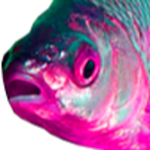 Plotva0