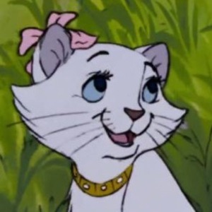 princessaricat