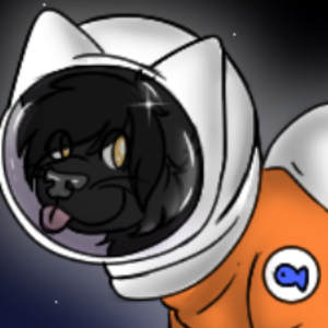 QtheAllycat