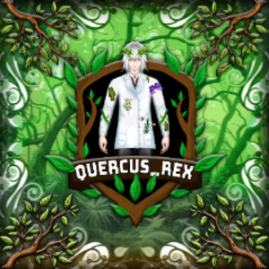 Quercus_rex