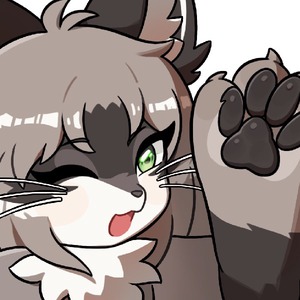 radio_rakoon