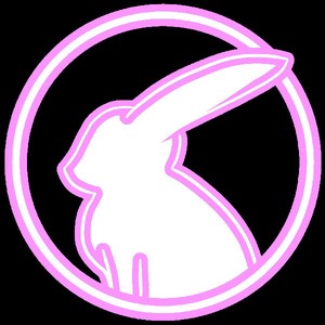 RandomRabbit20