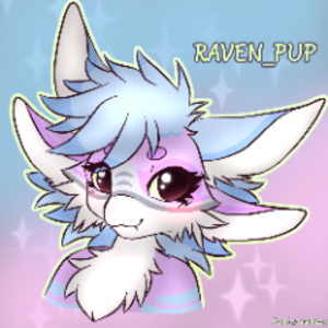 Raven_pup