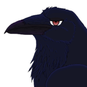 RavenAtTheDesk
