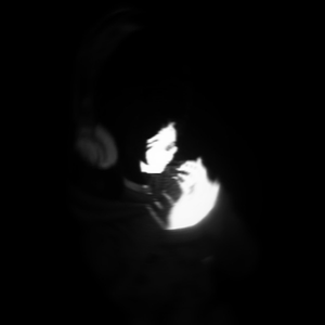 retrospective_asf