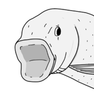 rPyke