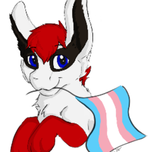 Saphira_Fox