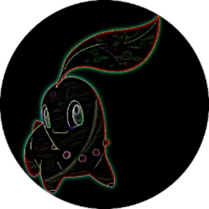 sarachikorita