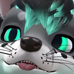 SbepFennec
