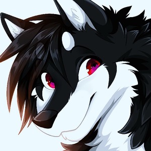 ShadowWolf146