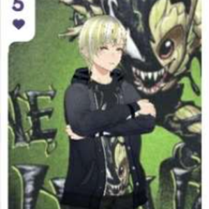 silver_corvus