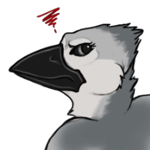 SilverJay630