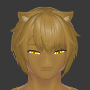 skeemer_codes