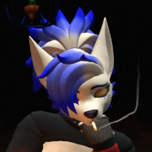 Skie_Avro