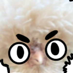 Sky_Chickens_