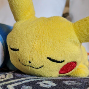 sleepikachu