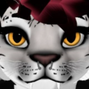 SleepyPhoenix_