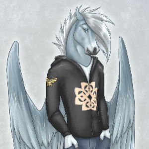 Snowblitz227